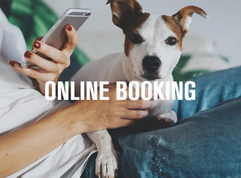 Book Online