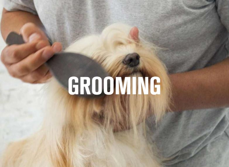 Grooming